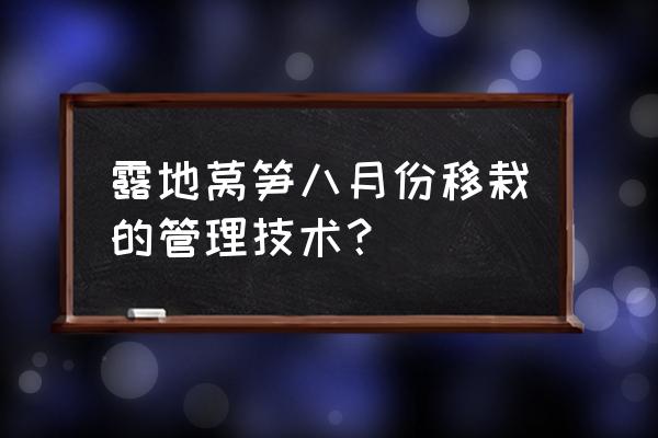 莴苣栽培后期的管理小技巧 露地莴笋八月份移栽的管理技术？