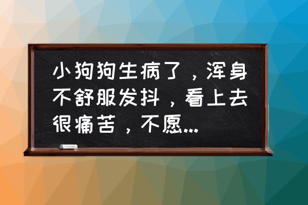 怎么可以判断狗的病 小狗狗生病了，浑身不舒服发抖，看上去很痛苦，不愿意吃饭怎么办？