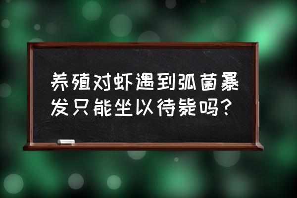 对虾养殖后期还会有弧菌爆发吗 养殖对虾遇到弧菌暴发只能坐以待毙吗？