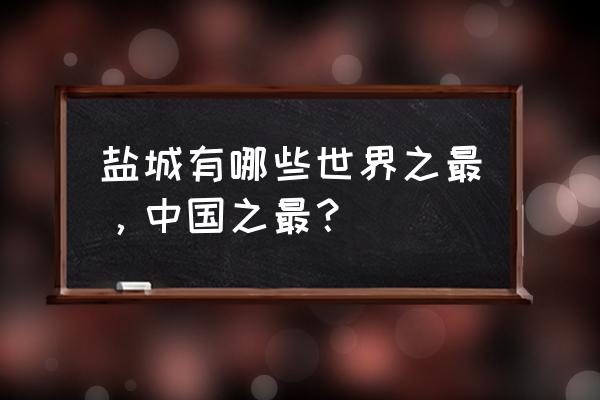 大丰魔幻迷宫攻略 盐城有哪些世界之最，中国之最？