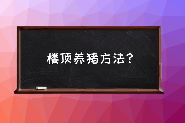 养猪智能化管理系统 楼顶养猪方法？