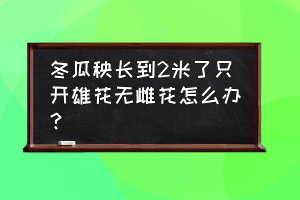 黑皮冬瓜开裂小瓜开裂 冬瓜秧长到2米了只开雄花无雌花怎么办？