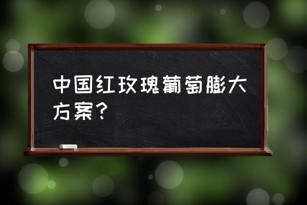 怎样预防葡萄果梗硬化 中国红玫瑰葡萄膨大方案？