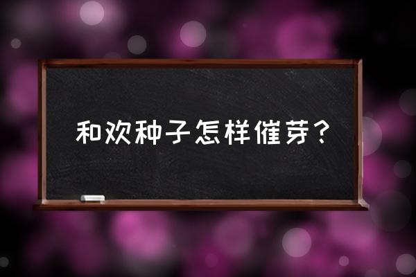 园林花卉种子播种前的处理方法 和欢种子怎样催芽？