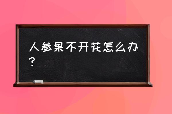 果树开花不结果怎处理 人参果不开花怎么办？