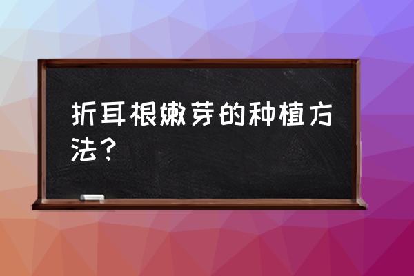 嫩芽折法 折耳根嫩芽的种植方法？