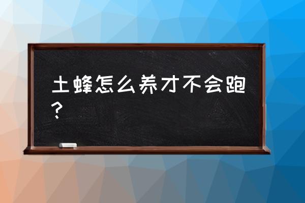 新手怎样养蜜蜂不会跑 土蜂怎么养才不会跑？