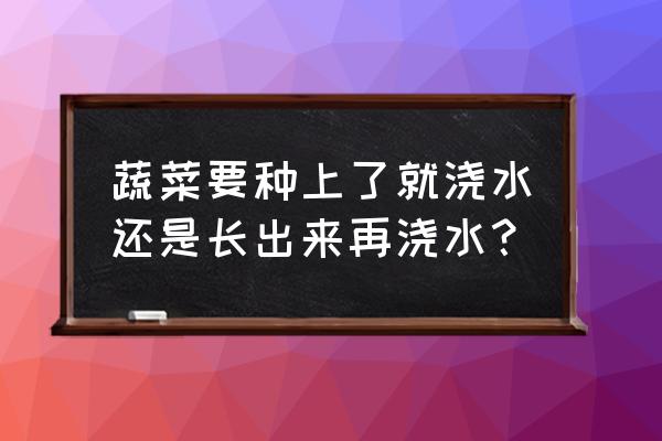 蔬菜育苗后期怎么处理 蔬菜要种上了就浇水还是长出来再浇水？