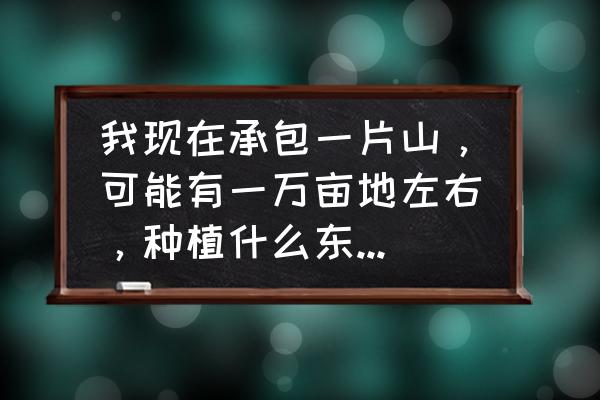 淘宝上卖林木草种要哪些证明 我现在承包一片山，可能有一万亩地左右，种植什么东西比较好呢？