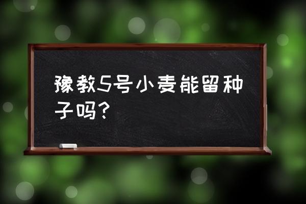 小麦种子怎么挑选的好 豫教5号小麦能留种子吗？