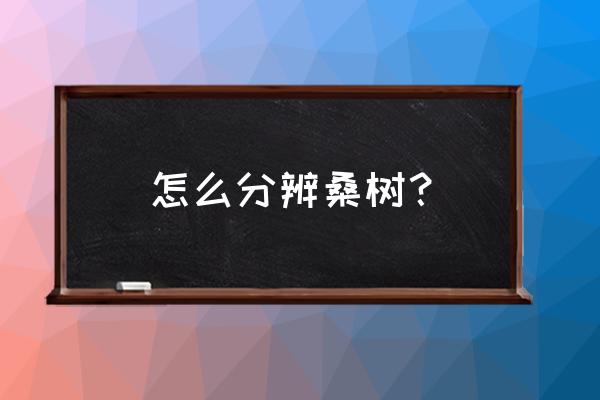 桑树长什么样怎么辨认 怎么分辨桑树？