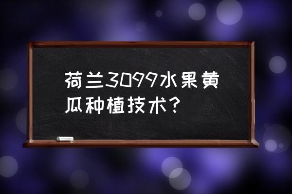 想种植黄瓜哪里学技术 荷兰3099水果黄瓜种植技术？