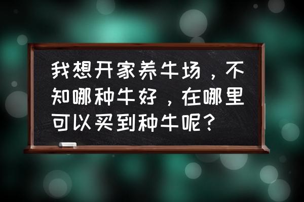 土黄牛苗多少钱一头 我想开家养牛场，不知哪种牛好，在哪里可以买到种牛呢？