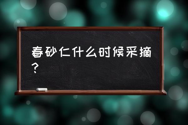 砂仁种植技术标准 春砂仁什么时候采摘？