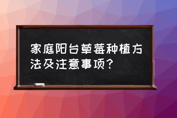 阳台盆栽草莓的方法 家庭阳台草莓种植方法及注意事项？