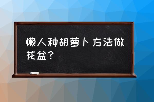 胡萝卜做花盆方法 懒人种胡萝卜方法做花盆？