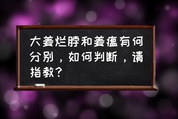 生姜姜瘟病田间识别及防治方法 大姜烂脖和姜瘟有何分别，如何判断，请指教？