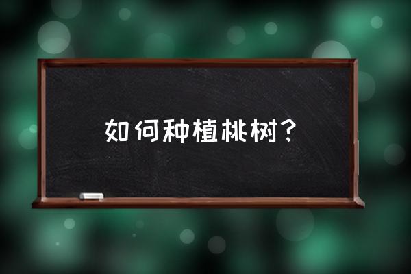 插桃枝快速生根法 如何种植桃树？