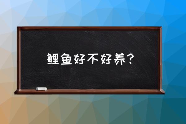 观赏鲤鱼怎么养殖才长得快 鲤鱼好不好养？