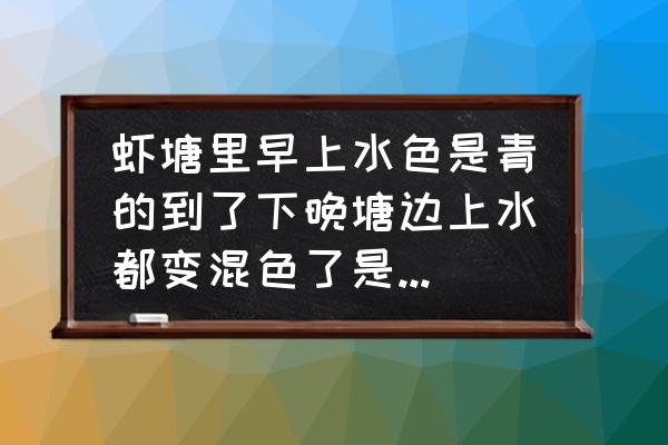 虾塘水色变绿色该怎么处理呢 虾塘里早上水色是青的到了下晚塘边上水都变混色了是怎么一回事？