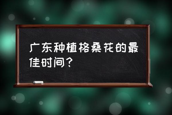 格桑花适合几月份种植 广东种植格桑花的最佳时间？