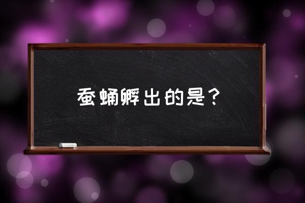 天蛾蛹怎么养 蚕蛹孵出的是？