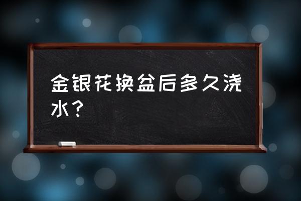 金银花老桩移栽后如何判断成活 金银花换盆后多久浇水？