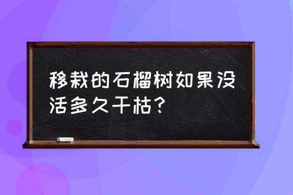 干枯的石榴树怎么救活 移栽的石榴树如果没活多久干枯？