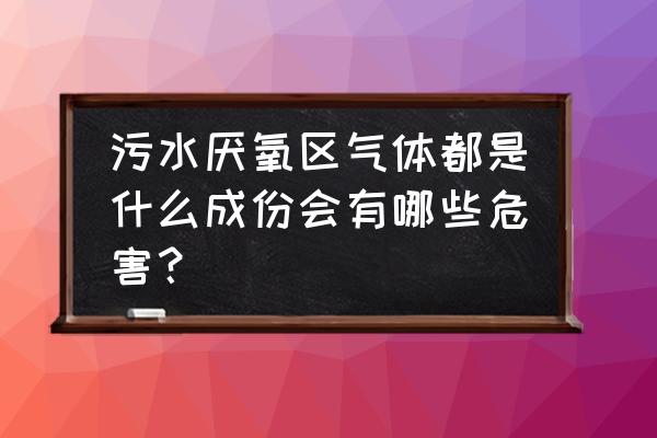 下水道沼气危害如何解决 污水厌氧区气体都是什么成份会有哪些危害？