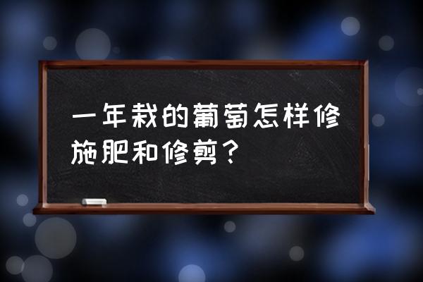 葡萄第一年挂果怎么修剪 一年栽的葡萄怎样修施肥和修剪？