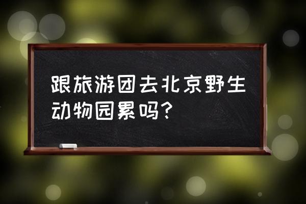 想去北京玩怎么样才能不累呢 跟旅游团去北京野生动物园累吗？