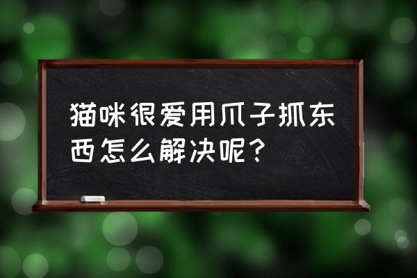 养猫必备的猫抓板到底该怎么选 猫咪很爱用爪子抓东西怎么解决呢？