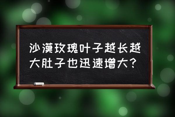 花卉膨大期施什么肥料 沙漠玫瑰叶子越长越大肚子也迅速增大？