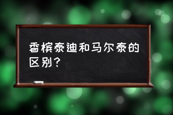 马尔济斯犬的美容过程 香槟泰迪和马尔泰的区别？