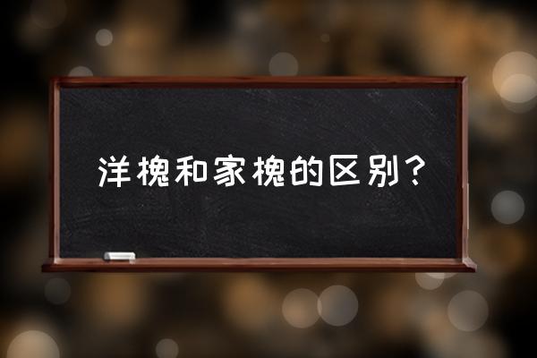 国槐好还是洋槐好 洋槐和家槐的区别？