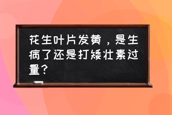 花生叶子发黄是缺肥料还是病 花生叶片发黄，是生病了还是打矮壮素过量？