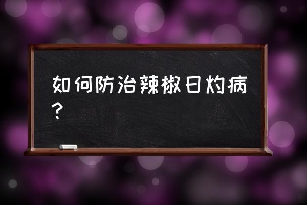 防治辣椒细菌性叶斑病用什么药 如何防治辣椒日灼病？