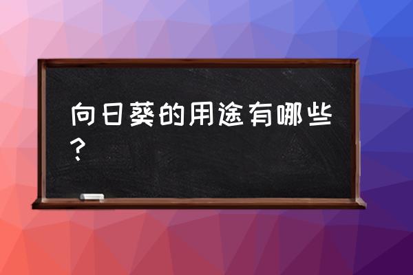 什么植物是雀斑的克星 向日葵的用途有哪些？