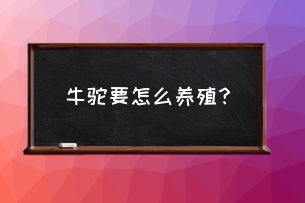 养草坪最好的方法 牛驼要怎么养殖？