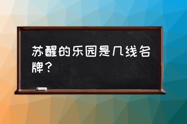 苏醒的乐园衣服测评 苏醒的乐园是几线名牌？