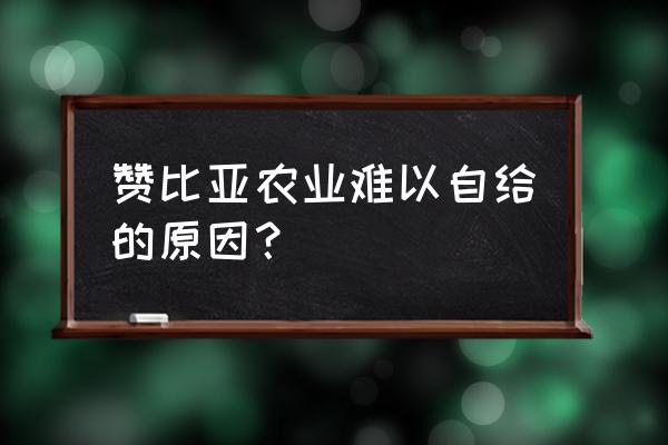 金山棕何时施肥 赞比亚农业难以自给的原因？