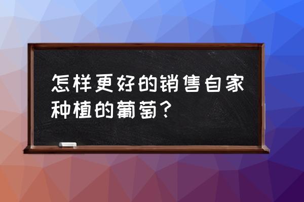 怎样在自己家门口种葡萄树 怎样更好的销售自家种植的葡萄？