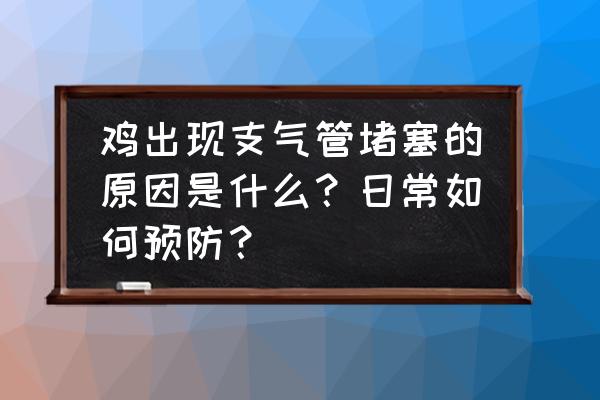 鸡是怎么感染鸡瘟的 鸡出现支气管堵塞的原因是什么？日常如何预防？