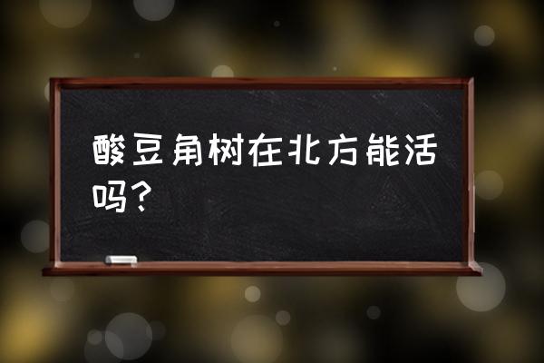 盆栽酸角树能结果吗 酸豆角树在北方能活吗？