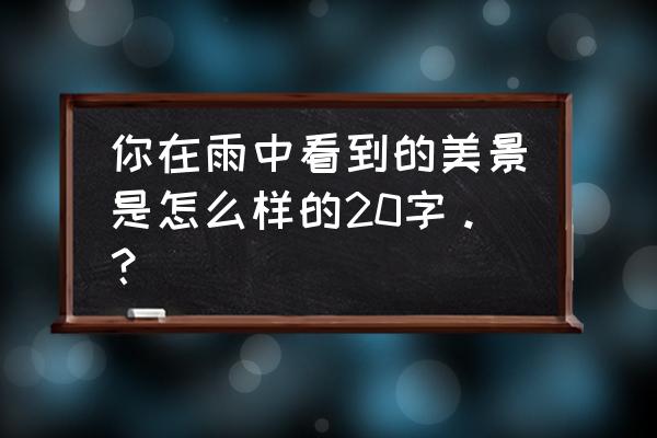 写出下雨时的景色注意写出变化 你在雨中看到的美景是怎么样的20字。？