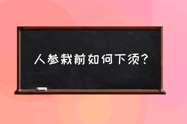 参苗成活后打什么药 人参栽前如何下须？