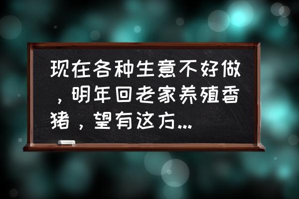 香猪养殖需要什么条件才能养 现在各种生意不好做，明年回老家养殖香猪，望有这方面的同行，专家老板们给点宝贵意见？