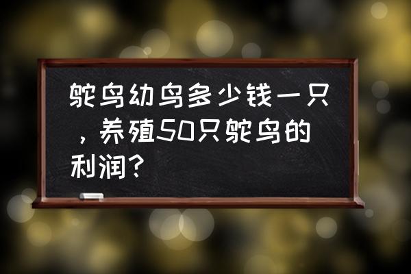 100元一斤的鸵鸟蛋 鸵鸟幼鸟多少钱一只，养殖50只鸵鸟的利润？