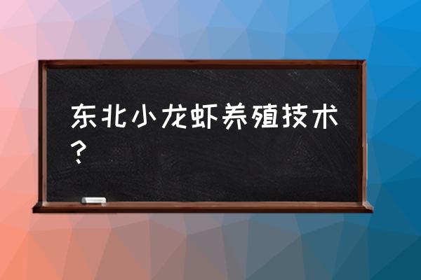 小龙虾家庭养殖怎么养 东北小龙虾养殖技术？