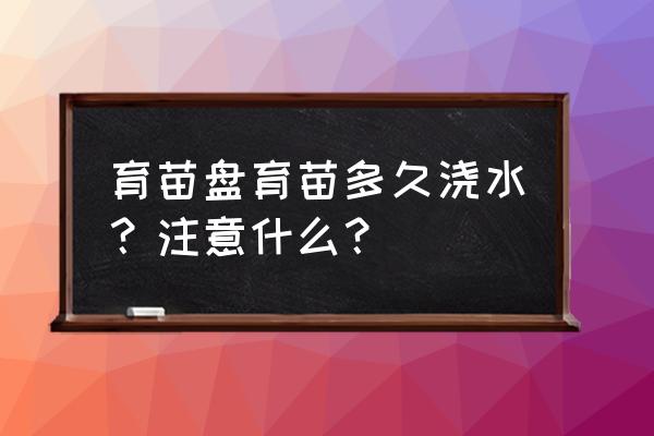 大型育苗盘怎么用 育苗盘育苗多久浇水？注意什么？